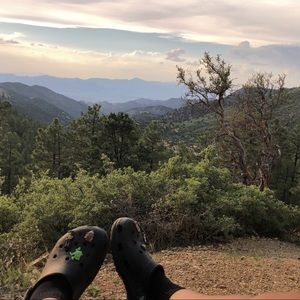 Meet your Posher, Laney